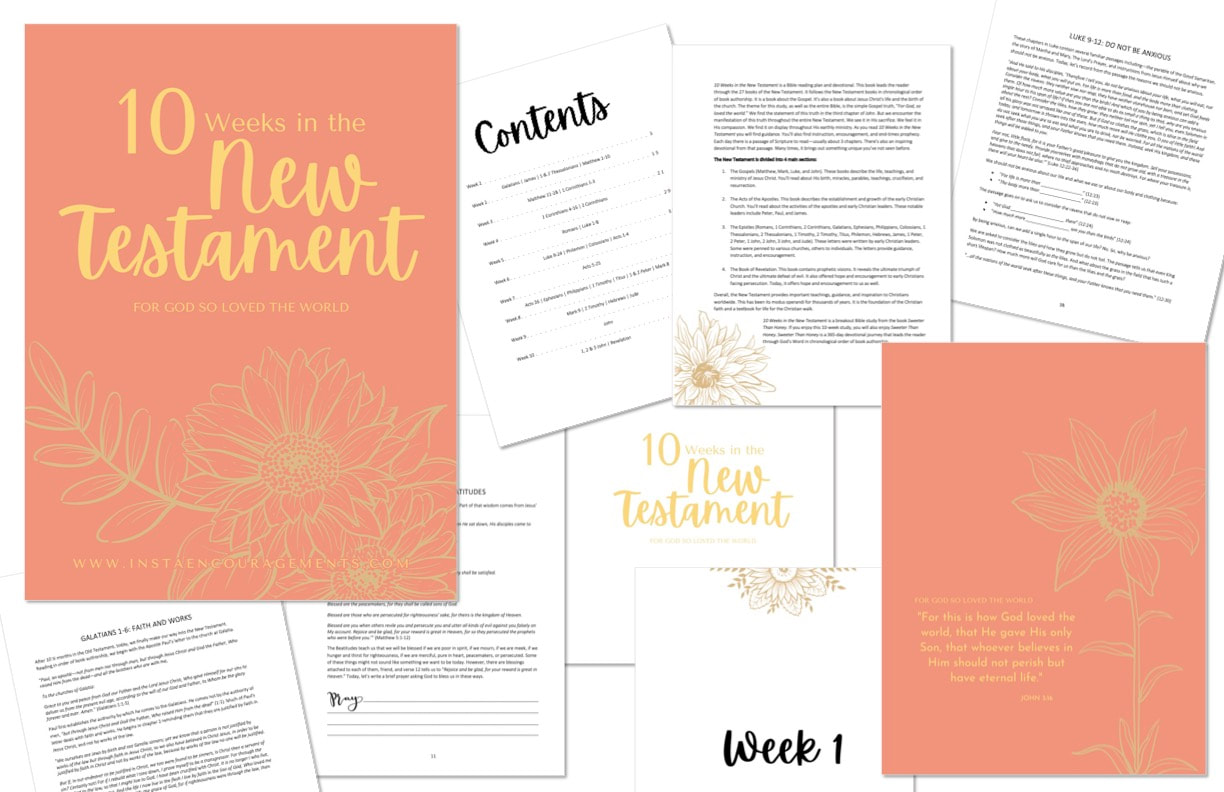 10 Weeks in the New Testament layout