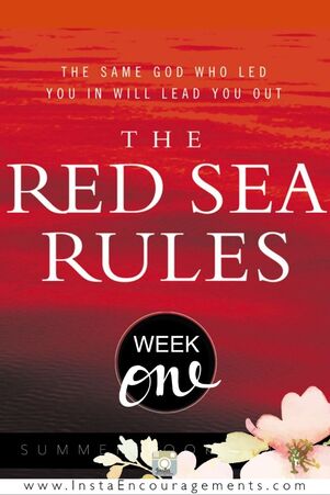 The Red Sea Rules: Week 1